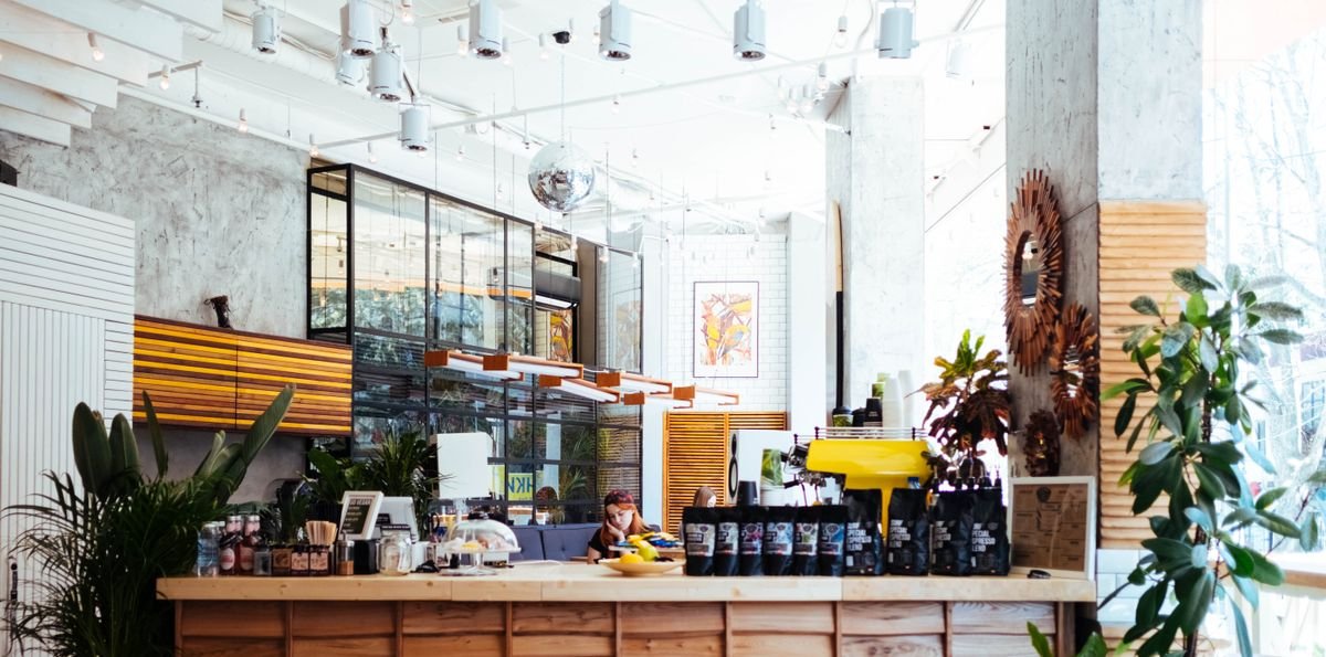 Intérieur lumineux du café, comptoir et plantes